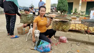 Harvest bamboo shoots and bring them to the market to sell l Lý Thị Sai