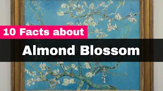 Van Gogh Almond Blossom - 10 Interesting Facts About Almond Blossom