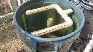 Radial Flow Settling Tank for the 100 Gallon Fish Tank Aquaponics Setup - 230715