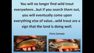 General Meeting 3/28/23: Scott Cornett on Wild Trout Fishing in Pennsylvania