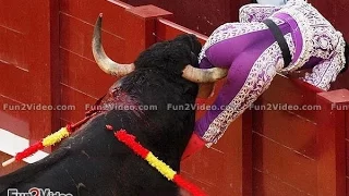 New More Funny Bullfighting(Nueva Taurino Más Divertido)  HD