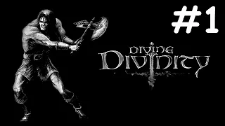 divine divinity # деревня целителей