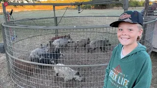 16 Pigs Caught at Jimmy Houston's!