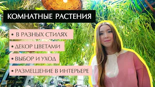 🌴 РАСТЕНИЯ В ИНТЕРЬЕРЕ: Идеи размещения, ДЕКОР цветами, ВЫБОР и УХОД.