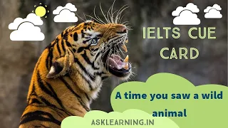 Sample Answer for IELTS Speaking Topic on wild animals | Angel Joseph | IELTS Center Kochi