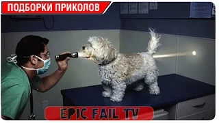 Подборка приколов за Февраль 2016 (+18) #37 A selection of jokes for February 2016