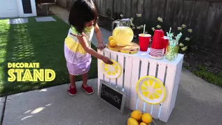 Make Your Own Lemonade Stand