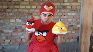 ANGRY BIRDS. Замовити аніматора на дитяче свято. Аніматори.