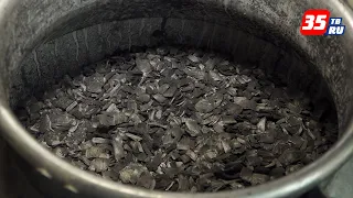 В Вологде запустили производство активированного угля из древесных отходов