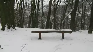 Winter Nature With Overtune Flute