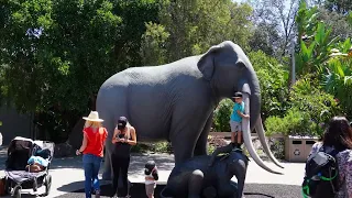 SAN DIEGO ZOO: 6 HOUR VISIT IN 15 MINUTES! (4K)