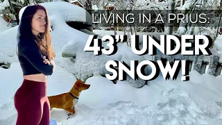 LIVING in a PRIUS: STUCK in a SNOW STORM, ALONE in the Mountains, INJURED, Lava Tubes & more!