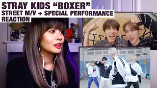 OG KPOP STAN/RETIRED DANCER reacts to Stray Kids "Boxer" Street M/V + Special Performance!