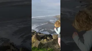 Pacific Ocean Sneaker Wave Goes Up Creek