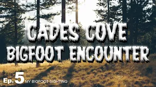 Cades Cove Bigfoot Encounter - My Bigfoot Sighting Episode 5