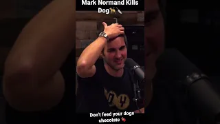 Mark Normand Accidentally Fed a Dog Chocolate - Joe Rogan Experience (Protect Our Parks) #shorts