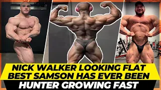 Who is gonna take the crown at the Arnold Classic 2023 ?Why Nick Walker is looking Small ? + Hunter