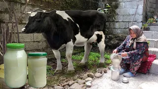 Making local cheese with fresh cow's milk in the village of Iran!😋🐄 rustic cheese