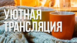 Уютная Трансляция - Поговорим о Главном!