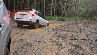 Stuck in mud