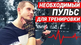 Пульс во время тренировки – на каком пульсе тренироваться бойцу