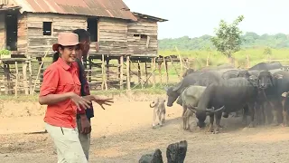 [FULL] RAGAM BUDAYA NUSANTARA | JEJAK PETUALANG (28/01/24)