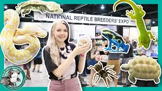 LET'S GET A NEW PET! // Daytona Reptile Breeders' Expo