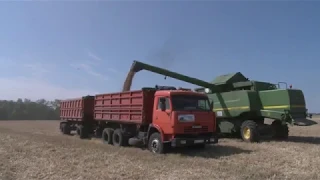 На новооскольских полях продолжается уборка зерновых культур