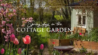 A Day in my Life | Irish Cottage Garden | Slow Living Ireland | Silent Vlog | Cottage Garden Design