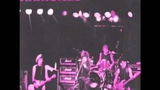 The KKK Took My Baby Away - Ramones - Live in Amsterdam 1986