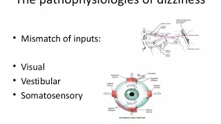 Mike Studer Dizziness in Aging