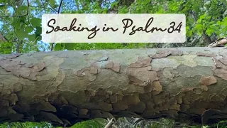 Soaking in Psalm 34 #scripturesoaking #psalms #biblereading