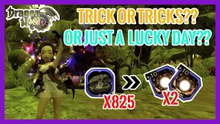 Dragon Nest SEA | Trick Enhance Ancient's Origin??