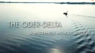 Niezwykła delta Odry - film dokumentalny lektor pl