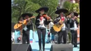 Mariachi Tequila playing "La Cucaracha" at Hyde Park Festival