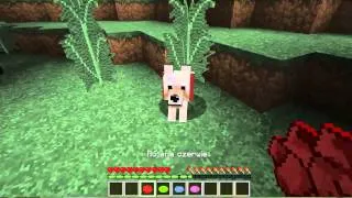Jak zmienić kolor obroży psa w minecraft ?