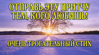 🔴ОЧЕНЬ МУДРАЯ ПРИТЧА! "Дуб" С ДОБРЫМ УТРОМ! ДОБРОЕ УТРЕЧКО ХОРОШЕГО ДНЯ!