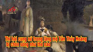 Thi hài cung nữ trong lăng mộ Tần Thủy Hoàng bị chôn sống như thế nào