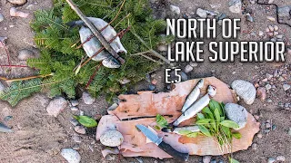 Two Brothers Alone in the Wilderness - E.5 - the Retreat, Trekking for Trout &  Shore Lunch