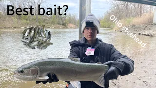 Best Way to Catch Spring Steelhead (OHIO)