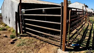 How to Build a “Bull Proof” Gate from Used Oil Pipe