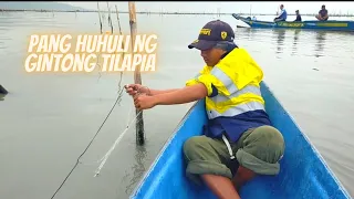 GINTONG TILAPIA NG LAGUNA LAKE | TALIM ISLAND FISHING ADVENTURE @talimph399  @brgykagawadph