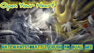 Open Your Heart (NateWantsToBattle/Crush 40 Dual Mix)