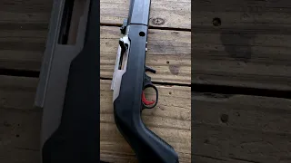 Silenced Custom Ruger 10/22 Takedown #shorts