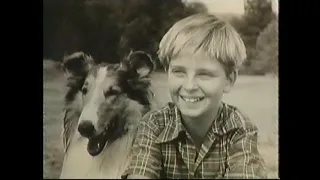 Salute to Lassie--June Lockhart, Jon Provost, Tommy Rettig, 1994 TV