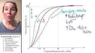 Gas exchange 7- Dissociation curve shifts