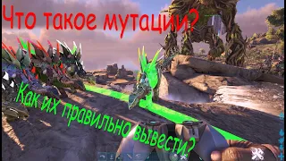 Как вывести топ дино?