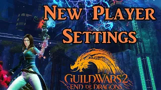 The Best Settings for New Guild Wars 2 Players