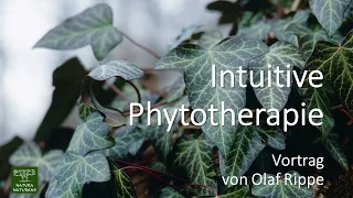 Intuitive Phytotherapie - das Kräuterwissen unserer Ahnen - Vortrag mit Olaf Rippe