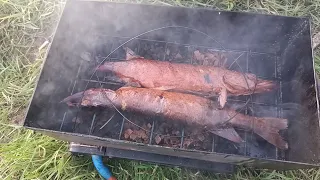 Озеро ИЛЬМЕНЬ, первый день рыбалки🎣🦈👍